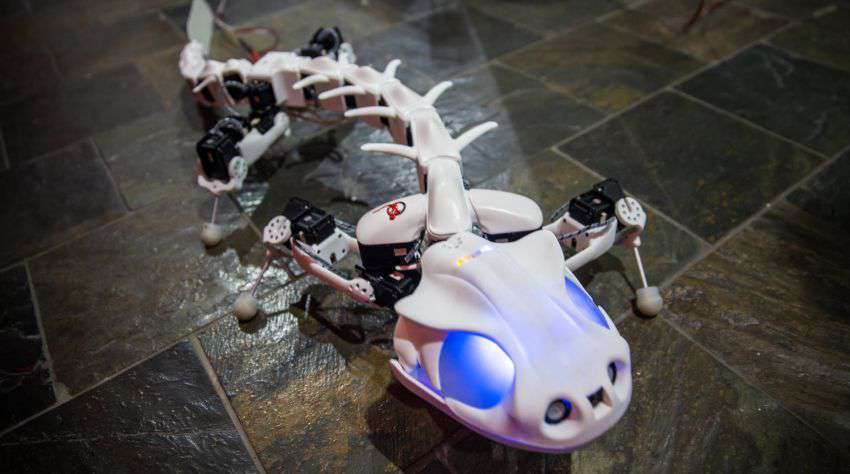 You are currently viewing The New Salamander Robot Mimics The Real Salamander