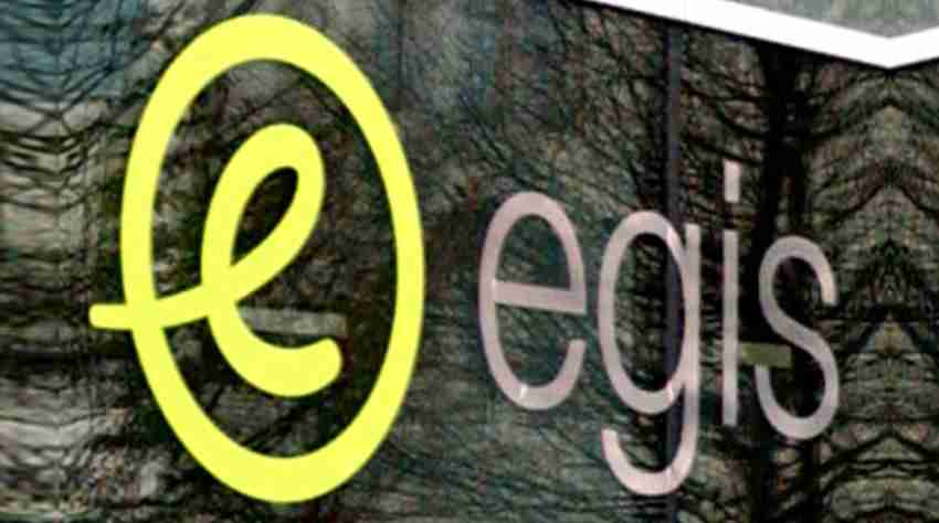Egis surpasses the one billion euro threshold - Insights-success