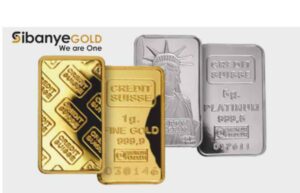 Read more about the article South African Gold Mining Company Expands Business with Acquisitions in U.S