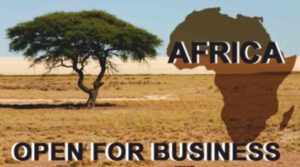 Read more about the article Invest in Africa – The Fertile Land