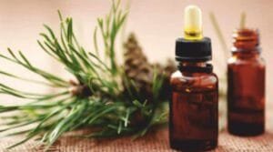 Read more about the article Rosemary, One Solution To Multiple Health Problems