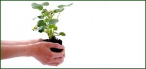 Read more about the article Best 10 Tips for Growing Your Blog