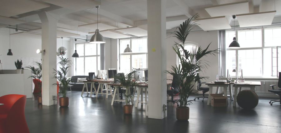 You are currently viewing How Your Office Space Can Affect Productivity
