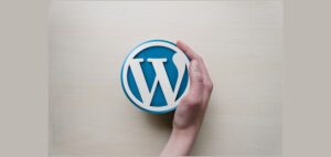 Read more about the article Few Easy Steps How to SEO Optimize Your Blog Posts in WordPress