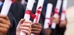 Read more about the article What are the types of degrees and what to choose?