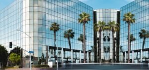 Read more about the article Dutch BV company: An overview