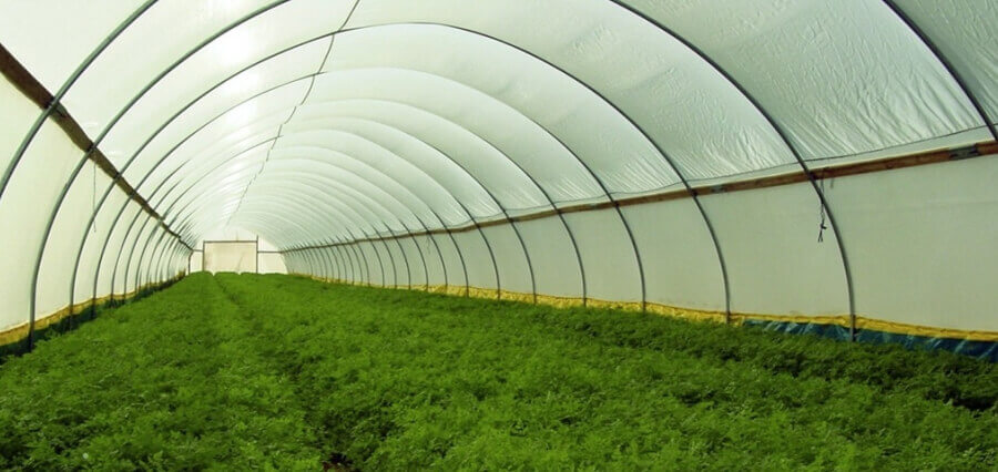 Israeli Agricultural Technology  - What Do the Innovations Mean for the Sector?