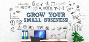 Read more about the article How To Grow Your Small Business