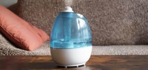 Read more about the article How To Choose A Cool Mist Humidifier?