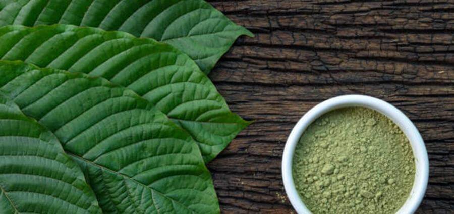 You are currently viewing Factors To Consider When Choosing the Kratom Top Supplier