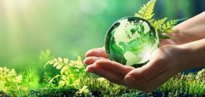 Read more about the article 5 Environmentally Friendly Businesses That You Everyone Should Know About