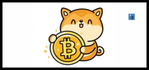 Read more about the article All About Akita Inu Crypto, You Should Know