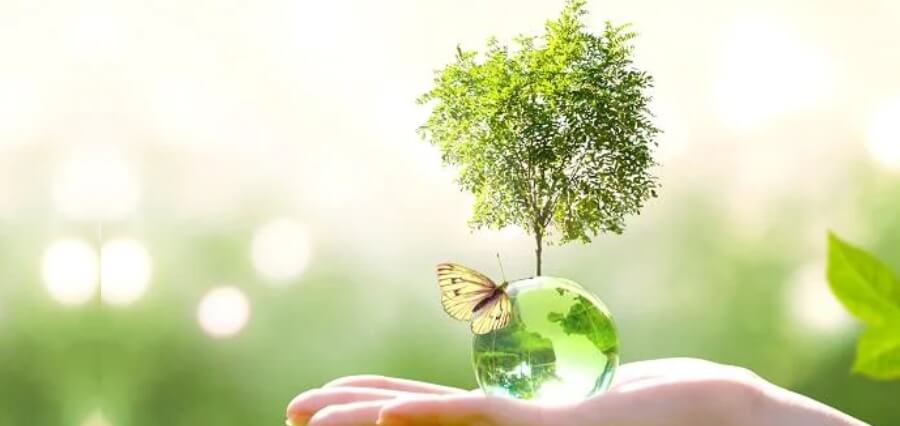 Read more about the article World Environment Day 2022: 2022’s Leading Sustainable Companies