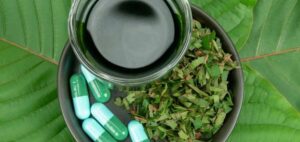 Read more about the article 6 Reasons to Purchase Bulk Kratom from Reliable Vendors Only