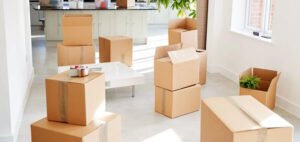 Read more about the article Residential Movers Virginia: Tips and Tricks for a Smooth Move