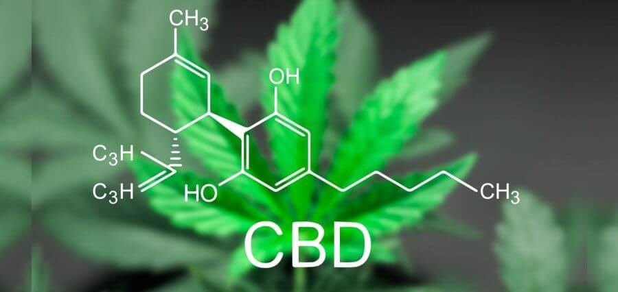 You are currently viewing 5 Things to Know About High-Potency CBD Products