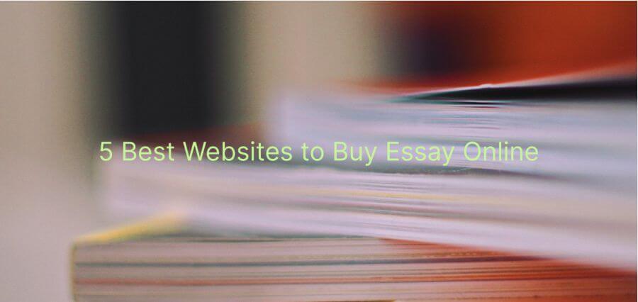 You are currently viewing Buy Essay Online: 5 Best Sites to Purchase Cheap College Essays in One Click