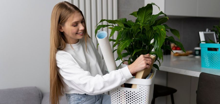 You are currently viewing Boost Creativity and Positive Vibes in Your Office with These Indoor Plants