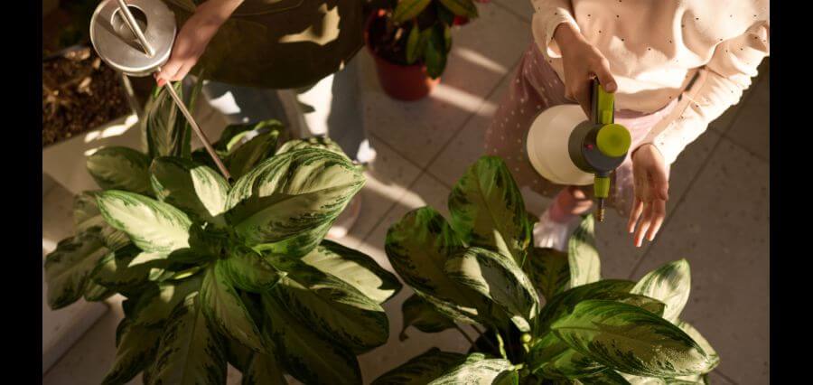 You are currently viewing Top 7 Reasons Why Families Should Invest in an Indoor Garden System