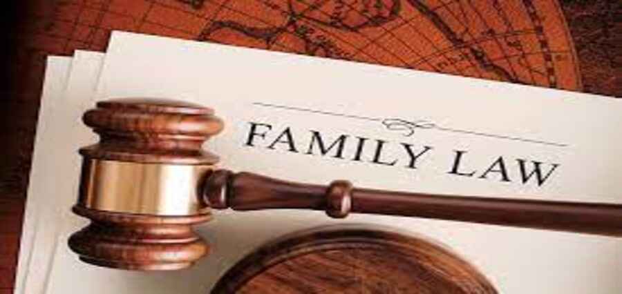 Understanding the Niche of Family Law and Its Impact