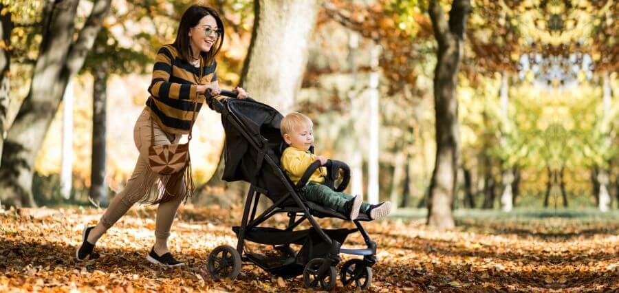 Everything You Need to Know About Choosing a Travel-Friendly Stroller – Insights Success